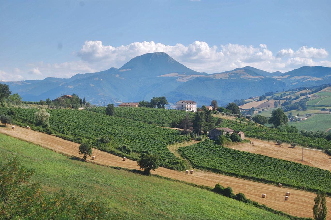 La Girandola Bed & Breakfast Cupramontana Exterior photo